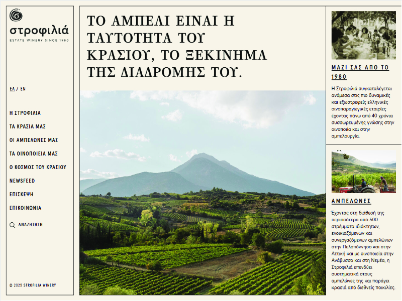 Σχεδιασμός και ανάπτυξη website για τη Στροφιλιά